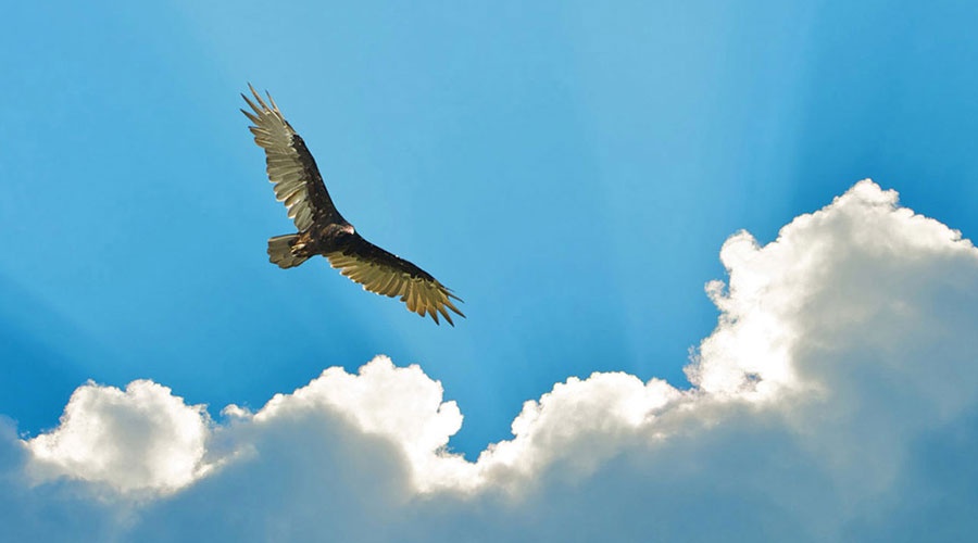 創(chuàng)始人寄語